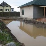 Длительное скопление влаги около дома приведёт к появлению плесени, неприятного запаха, деформации