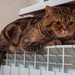 Нормы тепла в квартире зимой