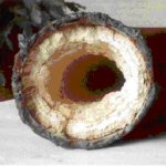 Отложения накипи в трубах