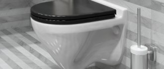 Toilet repair