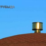 Срок службы грибка на крыше