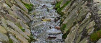 Водоотводная канава